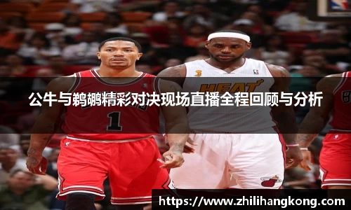 熊猫体育公牛与鹈鹕精彩对决现场直播全程回顾与分析